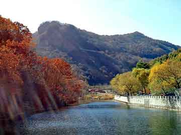 新澳天天开奖资料大全旅游团，娱乐小说